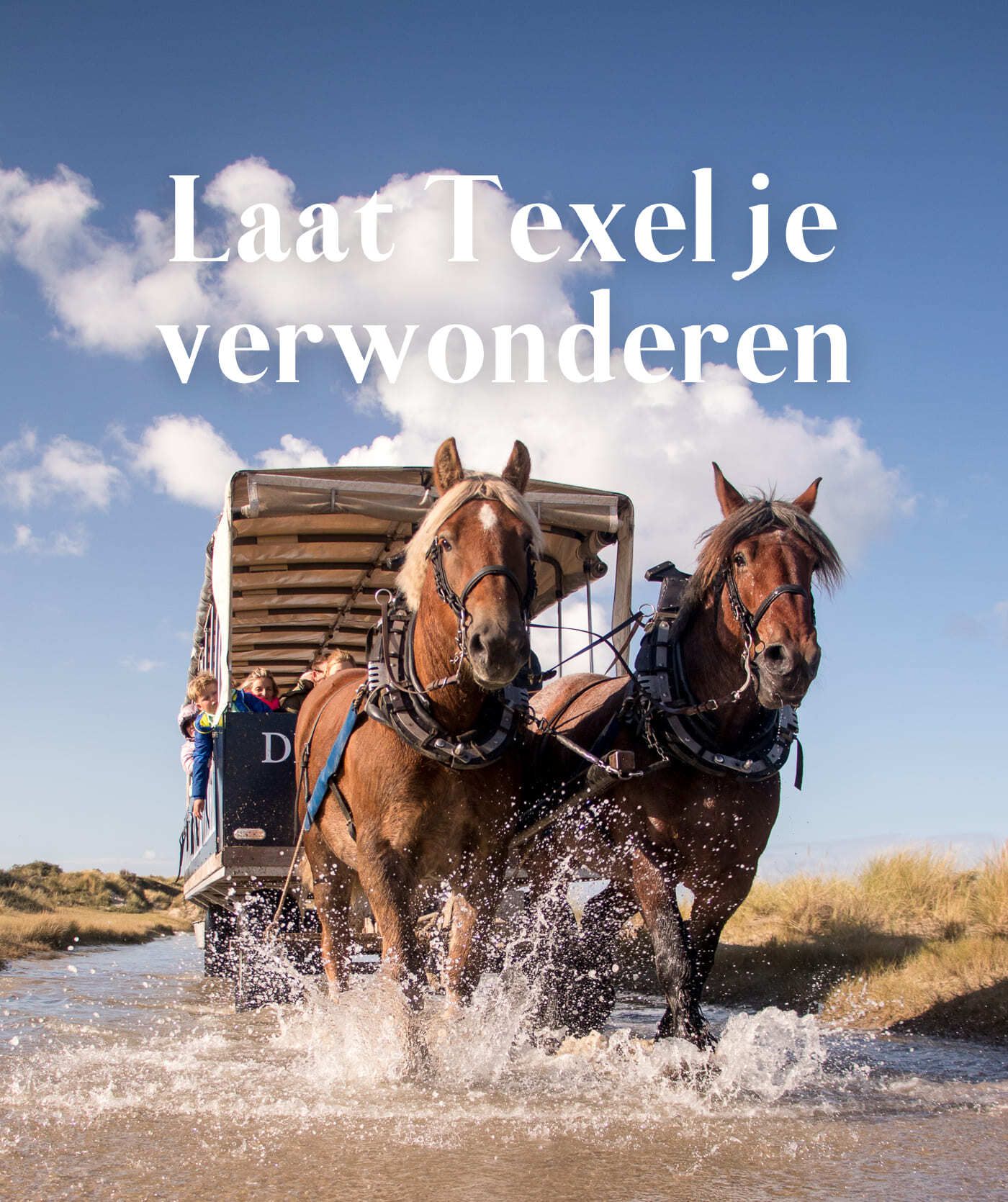 JanPlezierTexel-introafbeelding