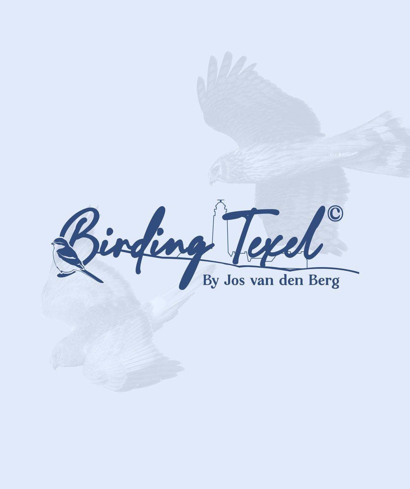 Logo voor Birding Texel door Jos van den Berg met een gestileerde vogel, handgeschreven tekst en vaag vliegende vogels op de achtergrond. Perfect voor webshops, websites en online diensten die op zoek zijn naar een unieke, door de natuur geïnspireerde identiteit.
