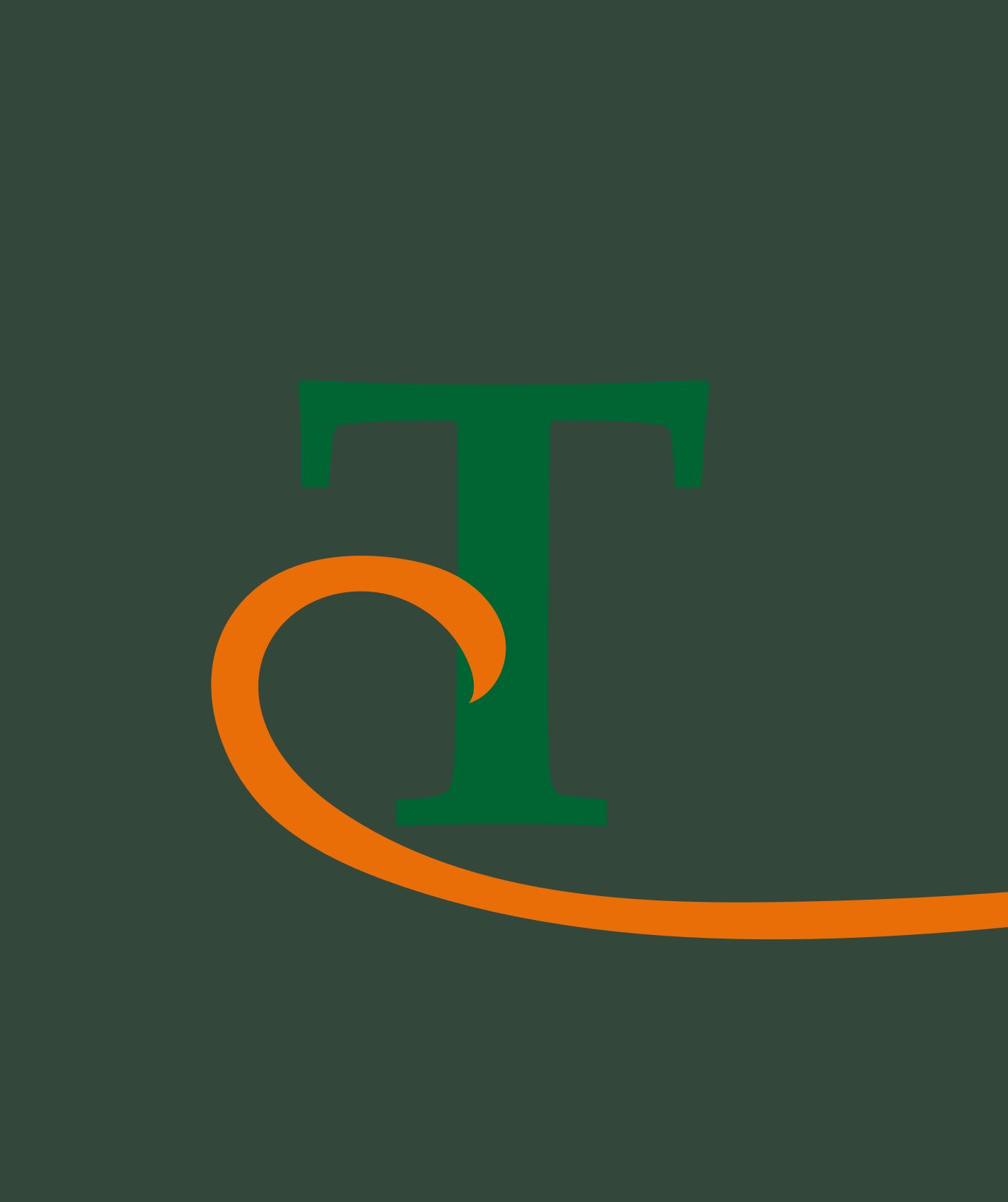 Een grote groene letter T met een oranje gebogen lijn die linksonder rond de zijkant loopt, tegen een donkere achtergrond. Perfect voor het promoten van websites of webshops.
